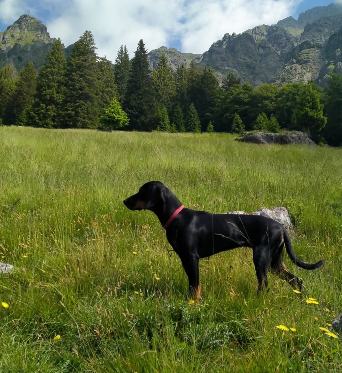 Hilly vom Loigistal
